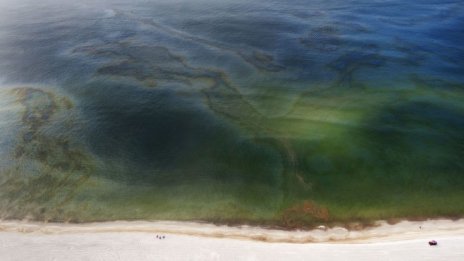 Защо сме склонни да генерализираме?