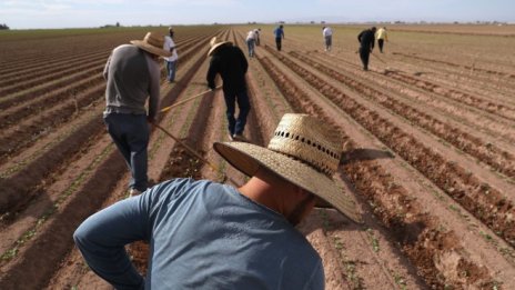 САЩ прекратяват за 60 дни приемането на имигранти