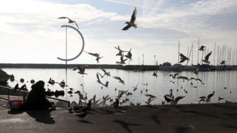 Замърсяване с диоксин изплаши Лозана