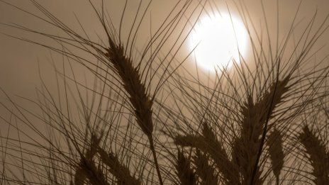 Украйна ще се обърне към арбитраж заради рестрикциите на износа на зърно