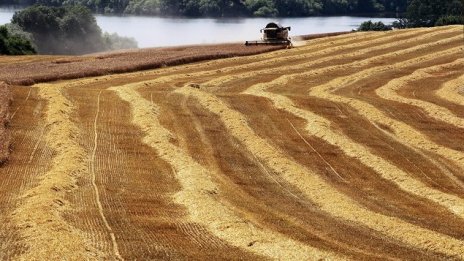 ЕС се насочва към по-щадящи околната среда торове