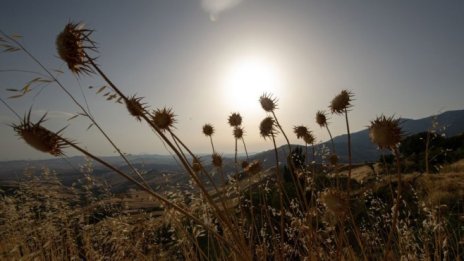 Графика на деня: Юли е бил най-горещият месец в историята