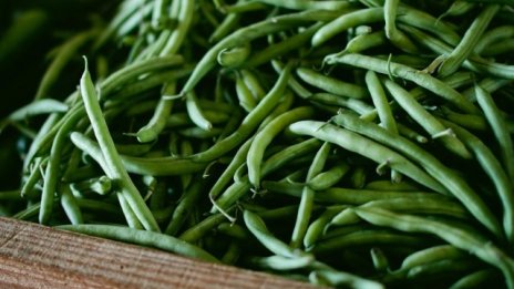 Производството на плодове и зеленчуци у нас расте през 2015 г.