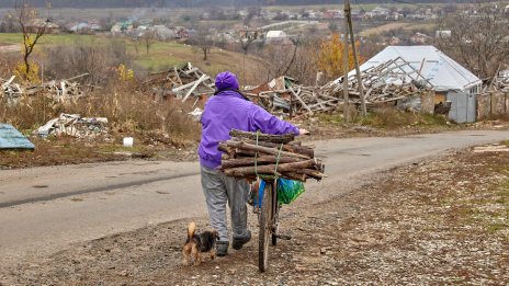 Кадър на деня за 3 ноември