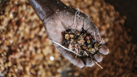 Как ключова съставка на Coca-Cola и M&M's се внася контрабандно от разкъсвания от войни Судан