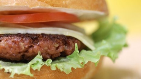 Идва краят на веганския бургер в ЕС