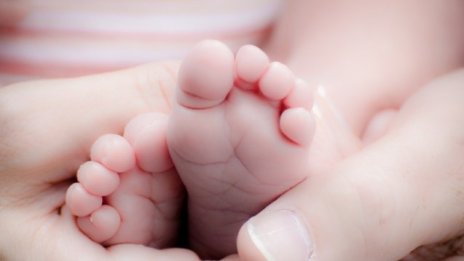 Около 1500 семейства ежегодно подават заявления за осиновяване