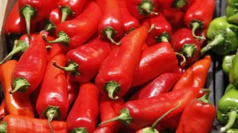 Валежите сринаха зеленчуковата реколта