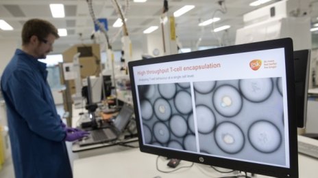 GSK отчита за година 1,9 млрд. долара от продажби, свързани с COVID