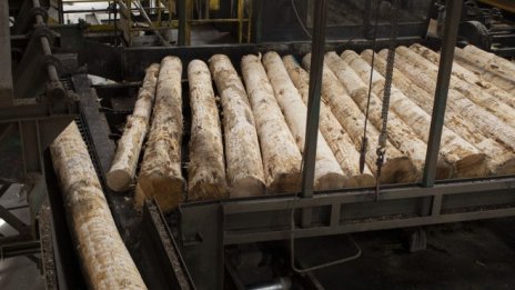 Дървесината изтри цялото си поскъпване за годината