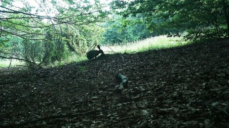 Планът за Природен парк "Витоша" скоро пак ще бъде разгледан от екоексперти