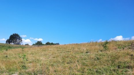 "Адванс Терафонд" с по-слаби продажби, покупки и събираемост на рентите