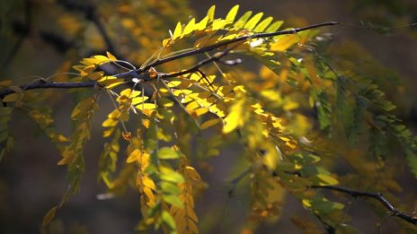 В България парниковите газове на човек от населението намаляват