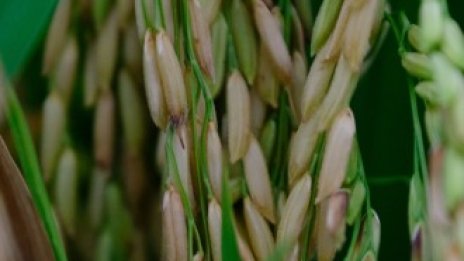 ООН: Светът е изправен пред безпрецедентна глобална криза с глада