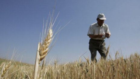 Как мораториумът върху продажбите на земя в Украйна спъва икономиката