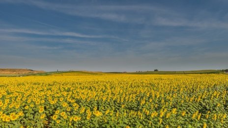 До дни фермерите ще получат 71 млн. лв. отстъпка от акциза за газьола