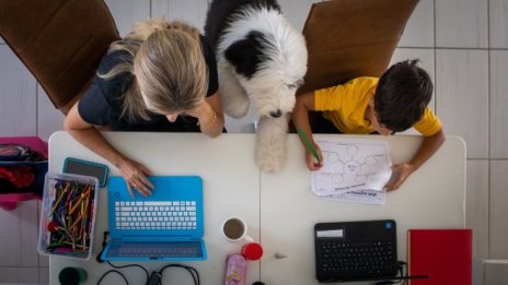 МОН предлага онлайн обучението да се редува с присъствено