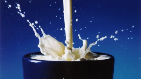 Производството на сурово мляко в ЕС се увеличава