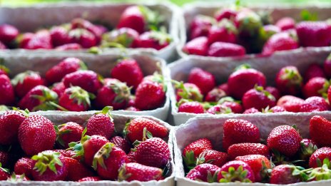 Стойността на селскостопанската продукция у нас расте с 2% до 9,9 млрд. лв. през 2025 г.