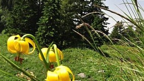 От октомври общините ще кандидатстват с проекти за туристически дейности