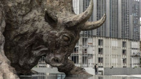 2021 – годината за далеч по-ограничен растеж на пазарите