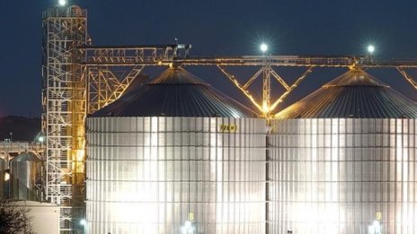 Консолидираната печалба на „Агрия“ намалява с 25% до 11,3 млн. лв.