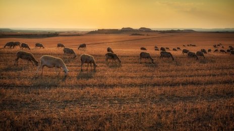 Близо 950 млади фермери представиха документи за преминато обучение