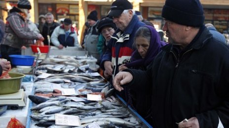 Над 10 хил. т риба и рибни продукти са произведени в България през 2015 г.
