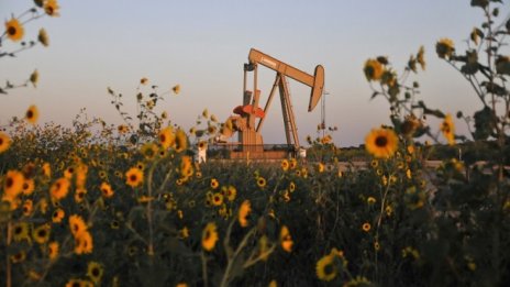 Н. Шуманов: Производителките на нефт са заинтересовани сделката в ОПЕК да се спазва