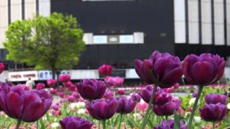 НДК съкращава 30% от служителите си