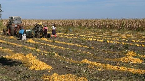 До декември агроминистърът трябва да представи анализ на законите за земята