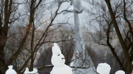 Кадър на деня за 5 януари