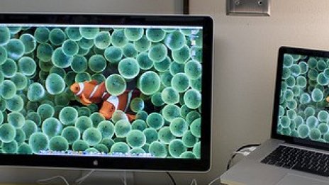 Сърфирането в работно време е добре както за бизнеса, така и за работниците