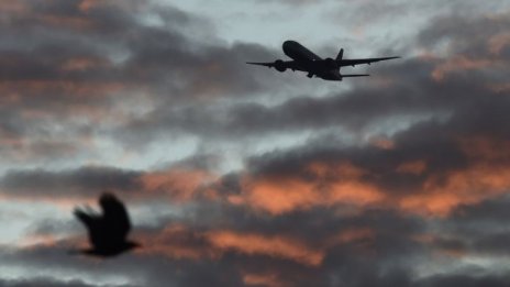 Броят на загиналите в катастрофи с големи пътнически самолети се увеличава през 2020 г.