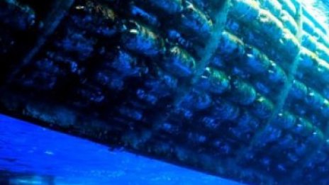 Хай-тек идеи на милиардерите