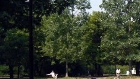 Столична община обяви конкурс за ремонт на Борисовата градина за 8,1 млн. лв.