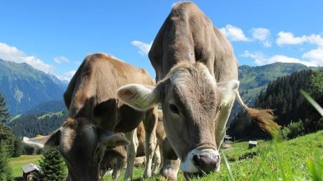 Фермерът, който знае как да прави бизнес с биологични храни 