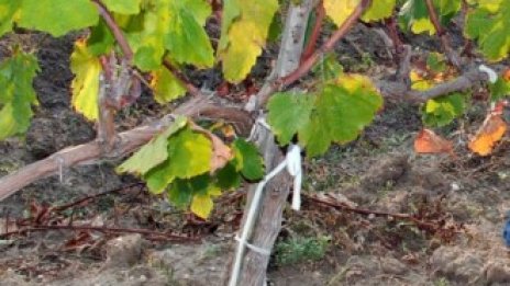 Остава по-малко от месец фермерите да докажат завършено обучение по агроекология