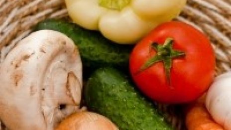 ЕС дава 2,2 млн. евро за изследвания на смъртоносната Ешерихия коли