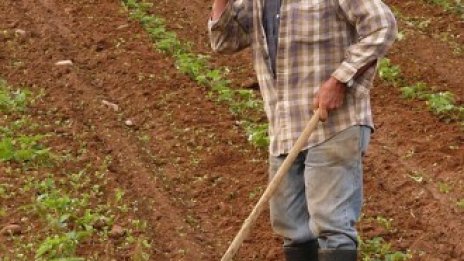 Всеки трети фермер в България е над 65 г.