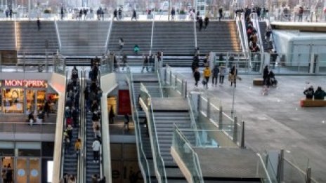 Могат ли жилищата да спасят моловете?