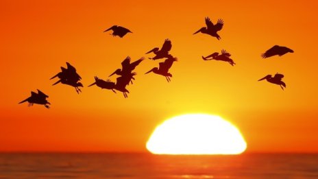 Мексико обяви архипелага Ревиляхихедо за природен резерват