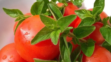 Цените на хранителните стоки на едро се повишиха през седмицата