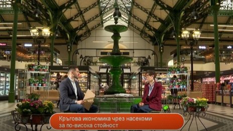 Как насекомите допринасят за устойчивото земеделие и кръговата икономика