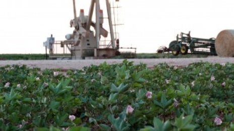 Цените на петрола отчитат леко понижение въпреки решенията на ОПЕК*