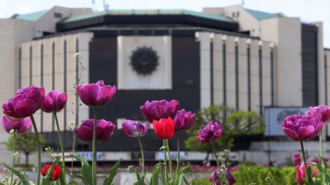 Ще спаси ли НДК статута си на културен и конгресен център?