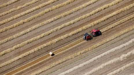 ИПИ: Подкрепата за земеделието се утроява в периода 2008 - 2015 г.