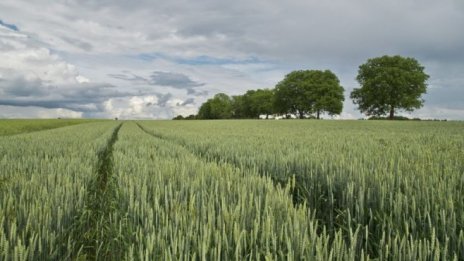 „Зенит имоти“ продаде ниви в обл. Разград за над 1,6 млн. лева