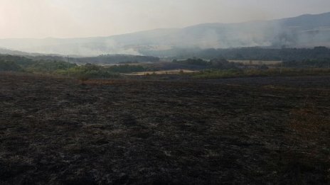 Над 11 хил. дка гори са опожарени от началото на годината
