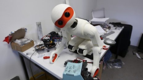 Южна Корея и амбициите ѝ в сферата на роботиката